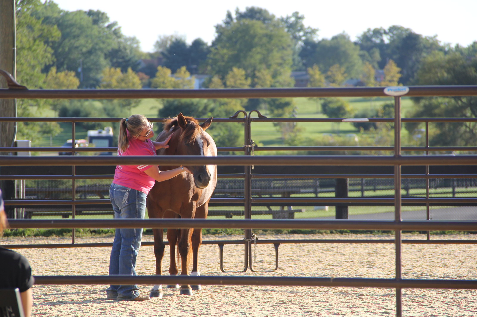 2015_T4T_Salamander Equine Therapy 57