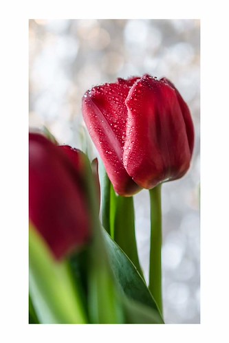 FB_IMG_1521487582191 | by stephanelaunay21