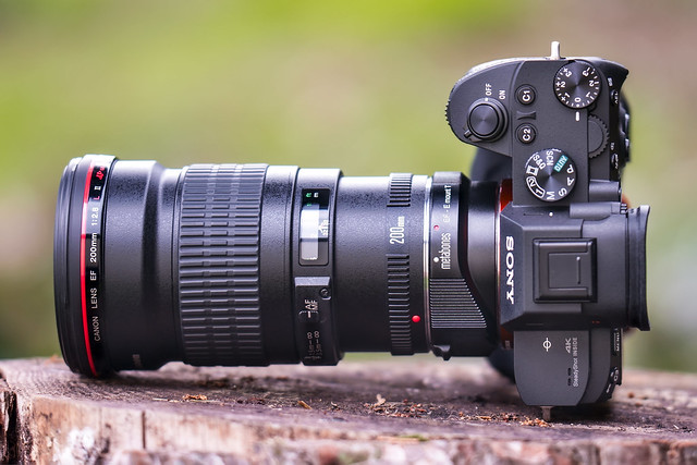 SONY ⍺7III (ILCE-7M3) & Canon EF200mm ƒ/2.8L II USM on Metabones T Mark IV