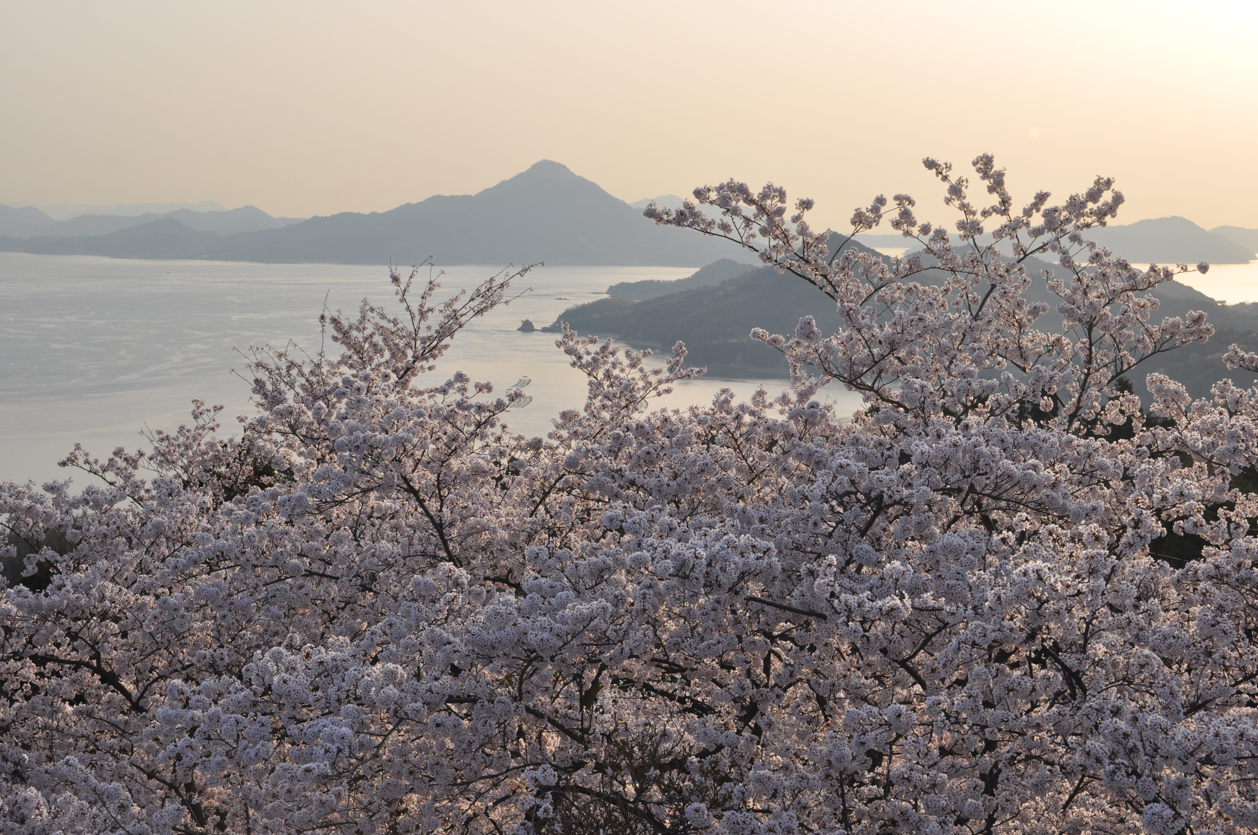 Курильские острова Сакура. Япония океан фото Вакаяма. Сакура остров