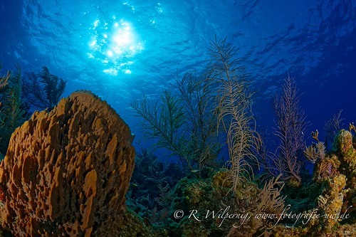 bahamas_2015_rwilpernig