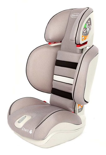 PPG4KIDS-Car-Seat-Chart-Grey-2-1000-600x881 | by ppg4kids