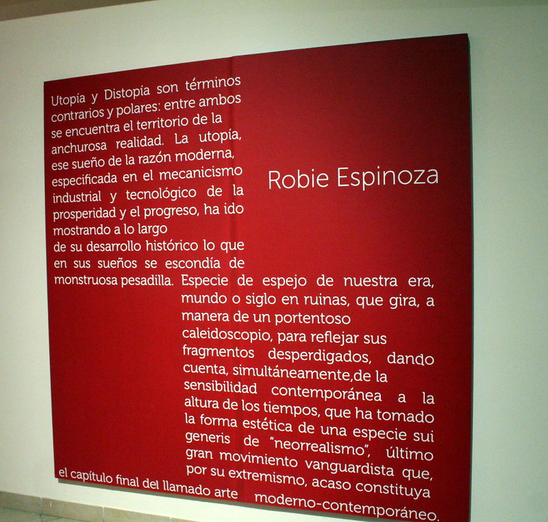 Texto de sala - Robie Espinoza