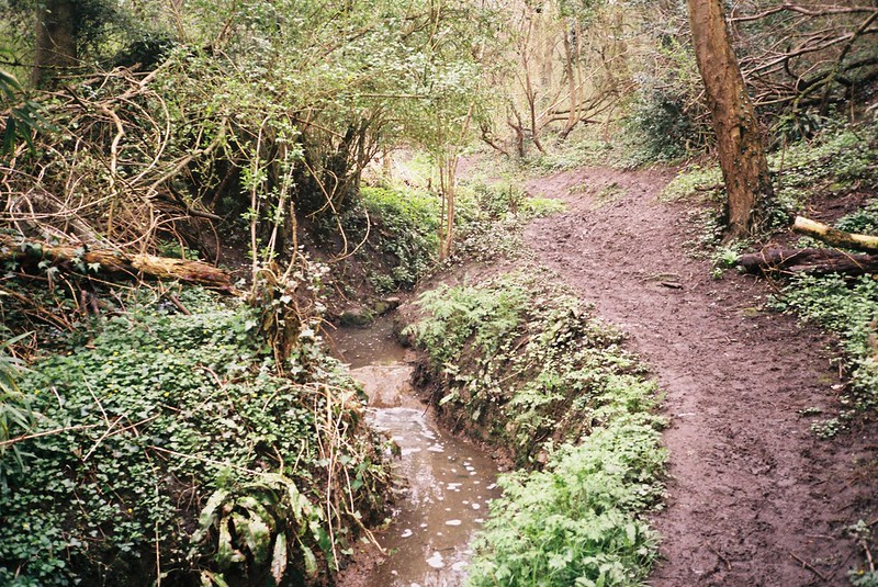 Slippery paths, Coombe Valley