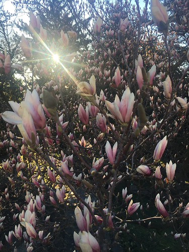 Springtime | by marsebas63