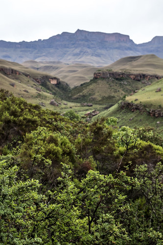 80d canon drakensberg giantscastle guillaumesamie southafrica cliffs clouds forest green gsamie landscape mountains rocks