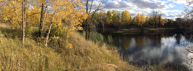 Fall colors at the pond