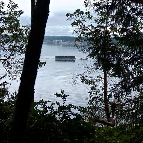 Tug by Umnak, forest pnw