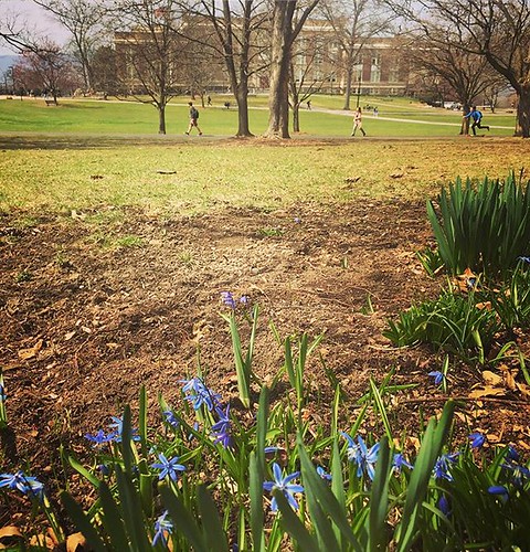 Everyone is walking around campus with a little Spring in their step!???? #npsocial #newpaltz #sunynewpaltz