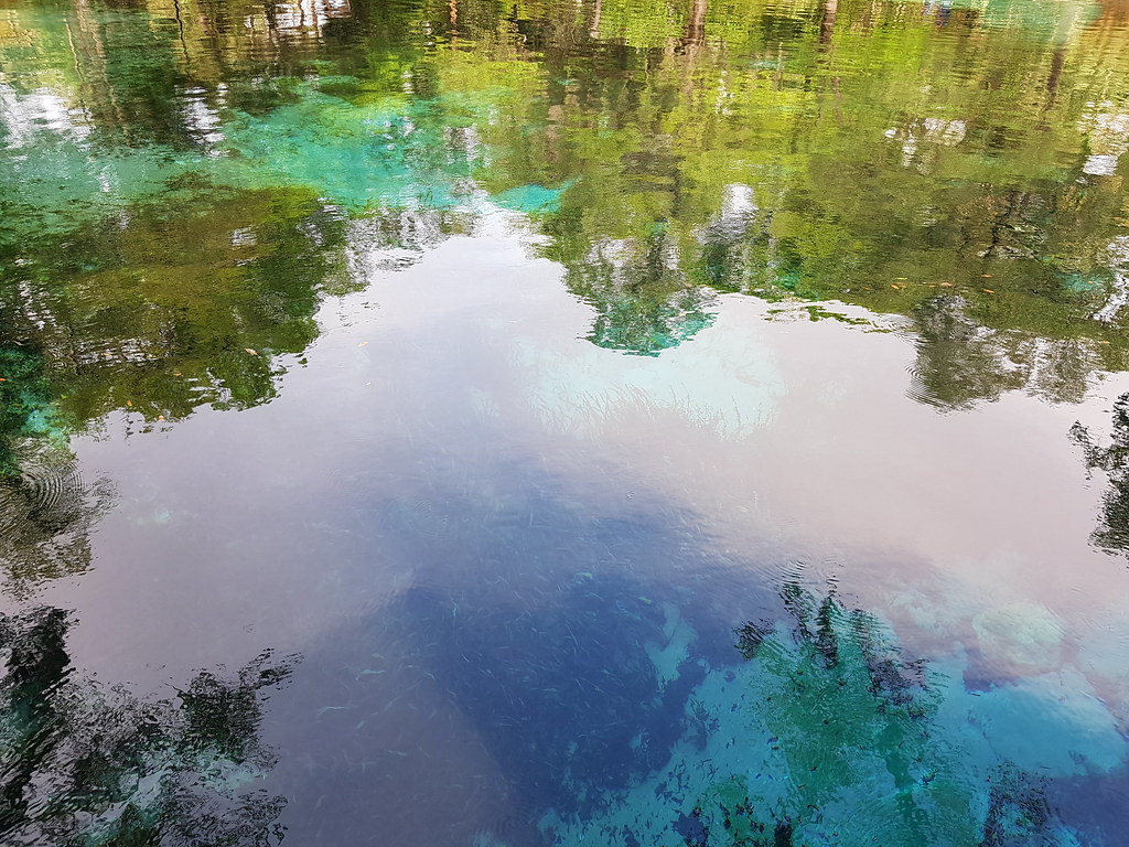 Juniper Springs Nature Trail