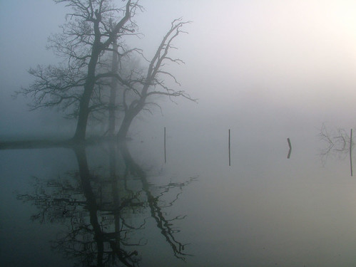 uk light england mist lake reflection tree topf25 water topv111 fog sunrise dawn topf50 topv333 peace savedbythedeletemegroup britain buckinghamshire calm slough berkshire kevday langley sppc