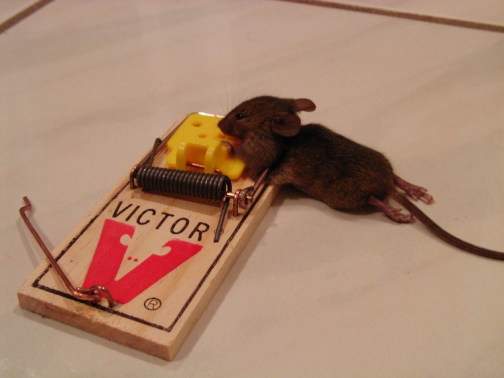Victor