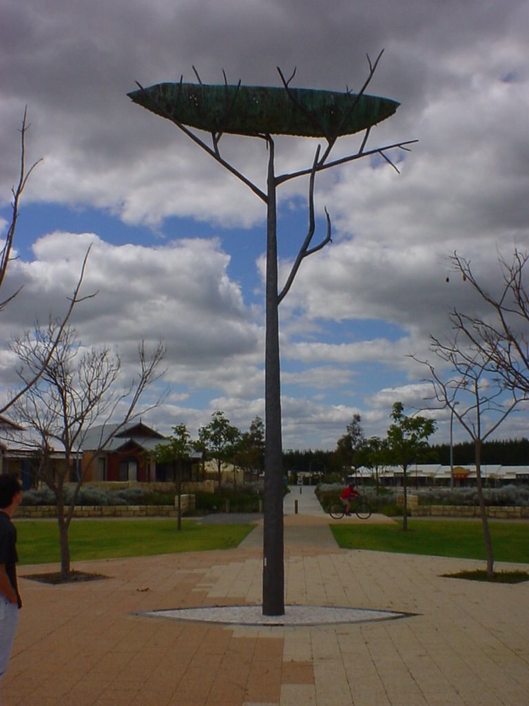 Coolamon