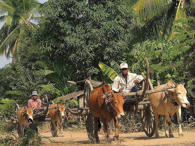 Rural Cambodia