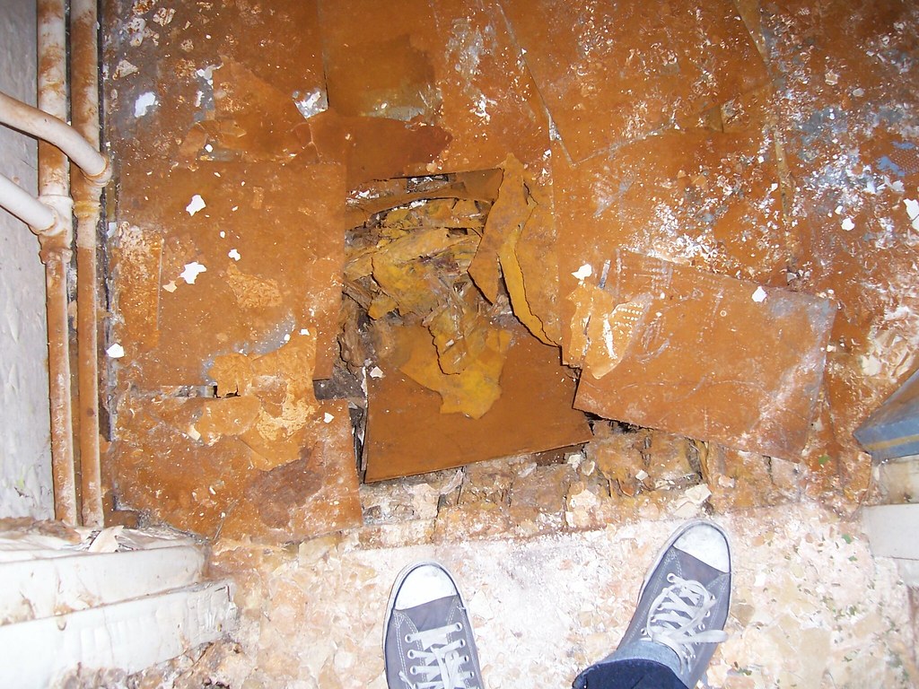 Steps Rotten rotten | mind your step | Andy Chappell | Flickr