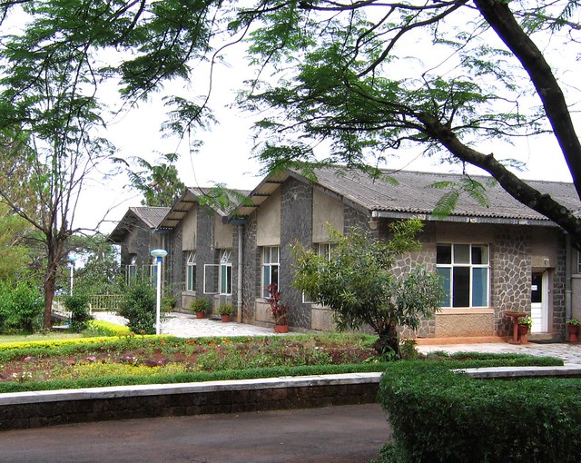 Cottage-type Buildings on Campus