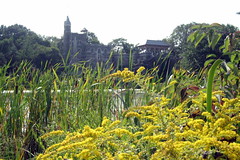 NYC - Central Park: Dragonfly Preserve - Belvedere Castle