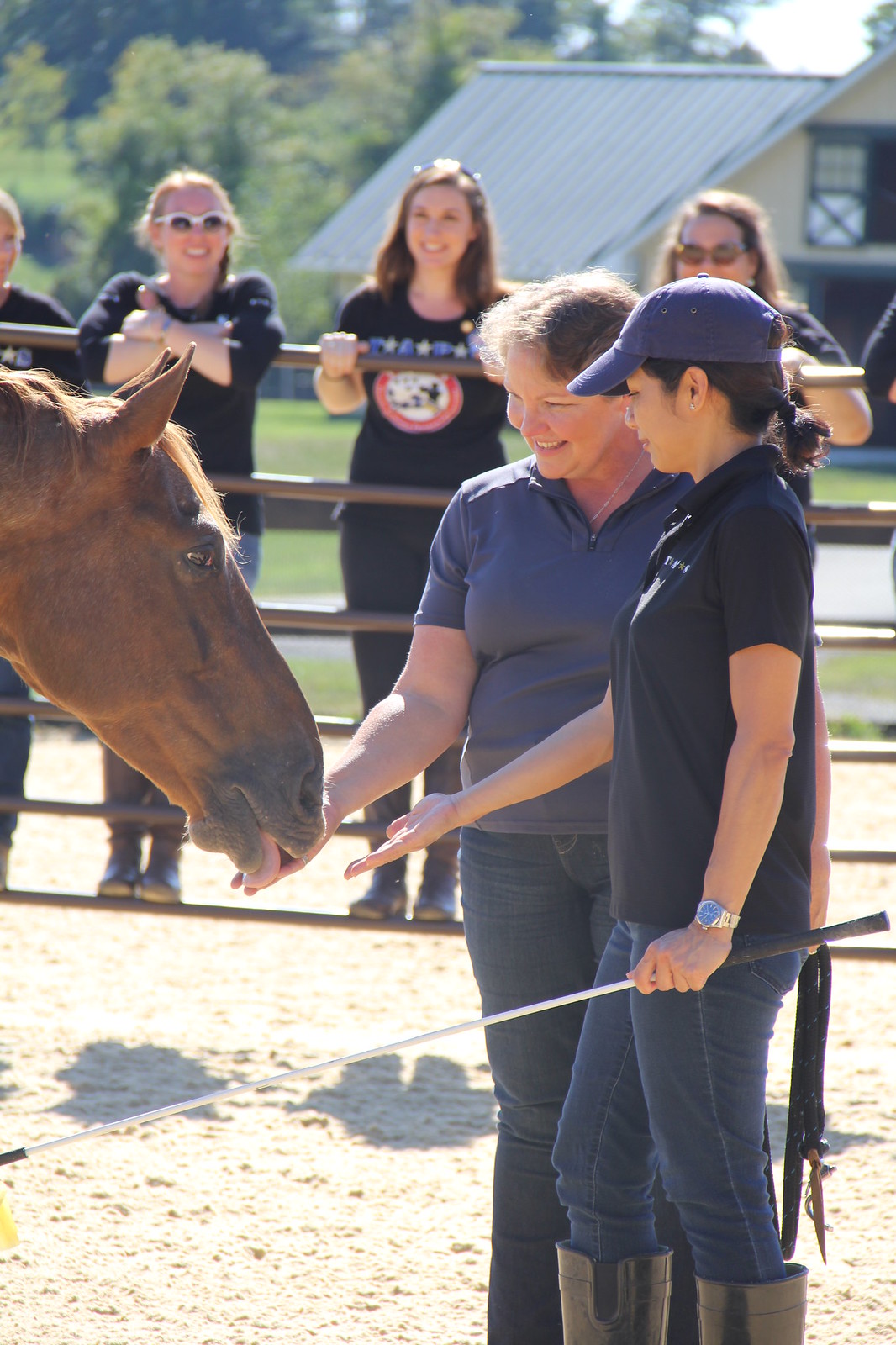 2015_T4T_Salamander Equine Therapy 43