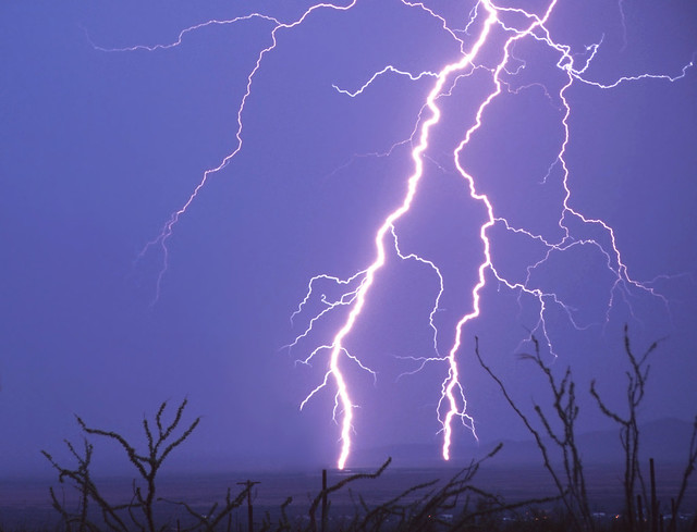 Lightning, Saguaro National Park West, Arizona