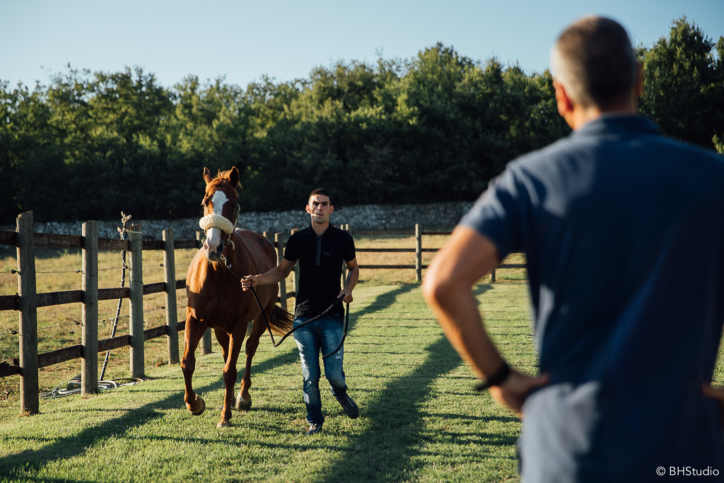 Previsite per i cavalli del Palio. Foto di BHStudio