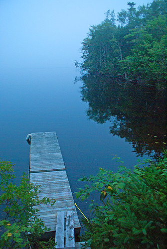 fog quiet stillness