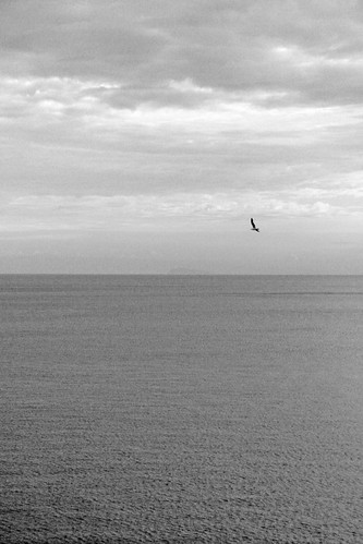 copia Immagine 184 | by nicolaborzi