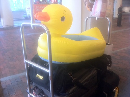 Random Photos - Now! Is your name DONALD or HOWARD? | by Polterguy50