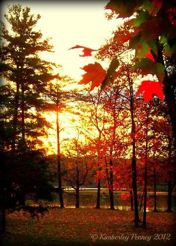 autumn trees red lake fall water colors sunrise