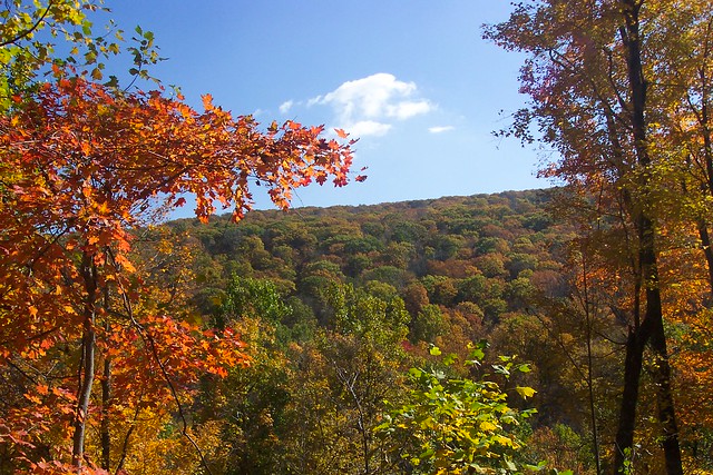 The splendor of fall in the Shenandoah Mountains at Shenandoah River State Park, Va