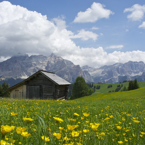 flowers sky italy mountains alps clouds barn day cloudy meadow dolomites