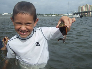 Joey with a fighting conch.