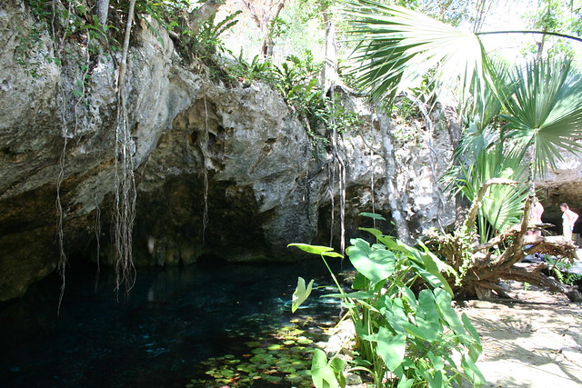 2012-04-29_Mexique-Tulum-Gran cenotes (1)