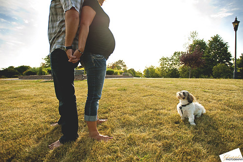 light portrait dog sun chicago puppy photography pregnant maternity photograph session expecting tinley