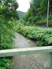 Creek under 801 Bridge #2