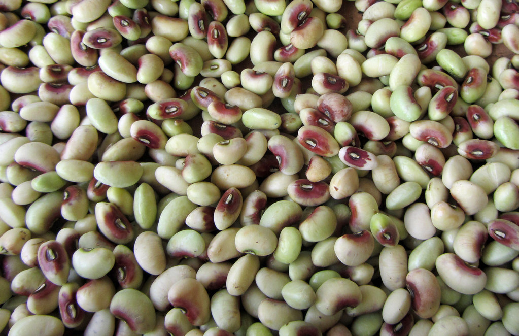 Purple Hulled Peas