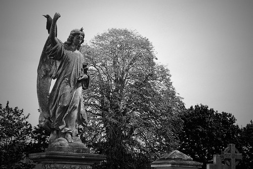 DSC07363_edit | by specularist