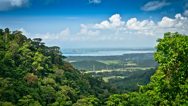A View of Patayan Island - Pagbilao, Quezon