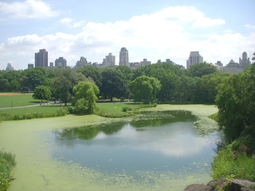 Turtle Pond - Central Park | Ju Polessa | Flickr