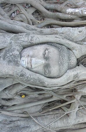 Ayutthaya