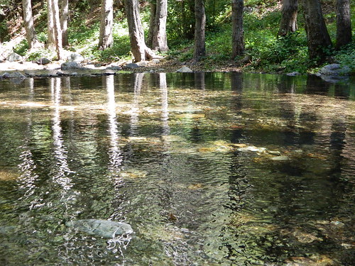 Nacimiento Creek
