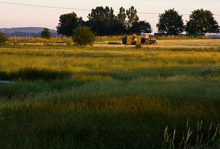 Making hay as the sun goes down