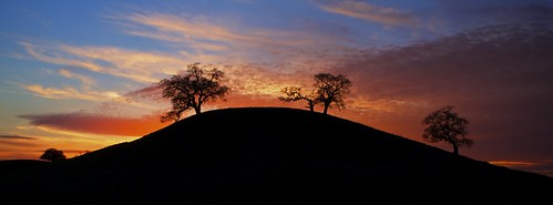 california sunset sky color tree silhouette landscape photography oak outdoor hill knoll oaktree ernogy