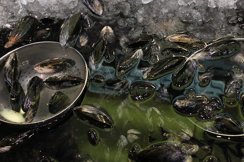 Mussels | by Keelhaul Doug