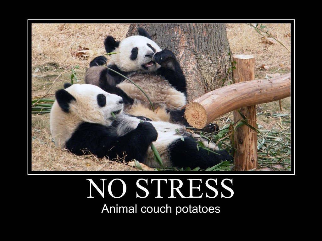 No Stress Philip Roeland Flickr no-stress-philip-roeland-flickr
