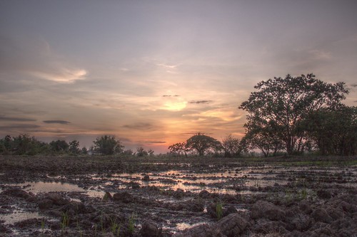 sunset thailand ricefield dri hdr sundowner totallythailand pataew