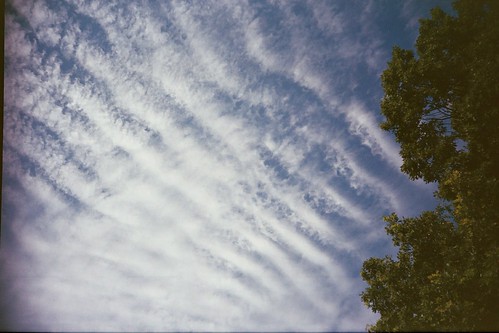 sky tree festival clouds lomo lca lomography michigan toycamera lomolca 2012 rothbury electricforest