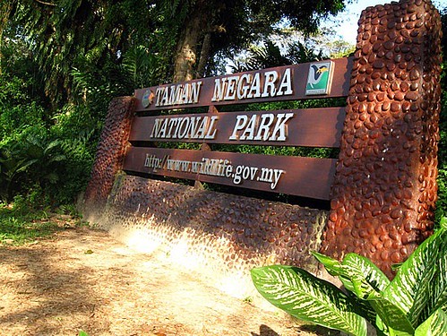 Taman Negara
