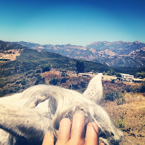 oh I got to pet a horse. top of decker cnyn. #biking #pch #socal #california #whereiride #malibu #beach #ocean #mountains #santamonicamountains #latergram #iphoneonly #niceview #triathlon #training #swimbikerun #horse | by g.andrejs