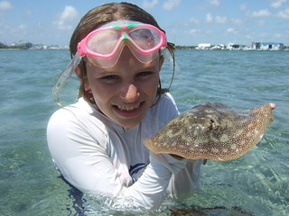 Lily with a barbless yellow ray!