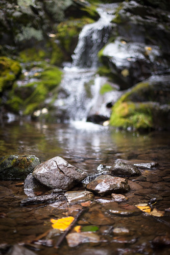 summer water forest landscape virginia nationalpark woods rocks stream shenandoah canon5dmkii